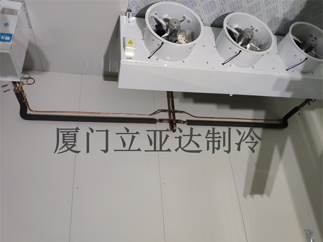 �B(y��ng)�����췿�