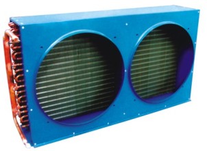 FNH���L(f��ng)��������